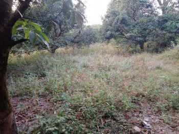 Property for sale in Chharba, Dehradun