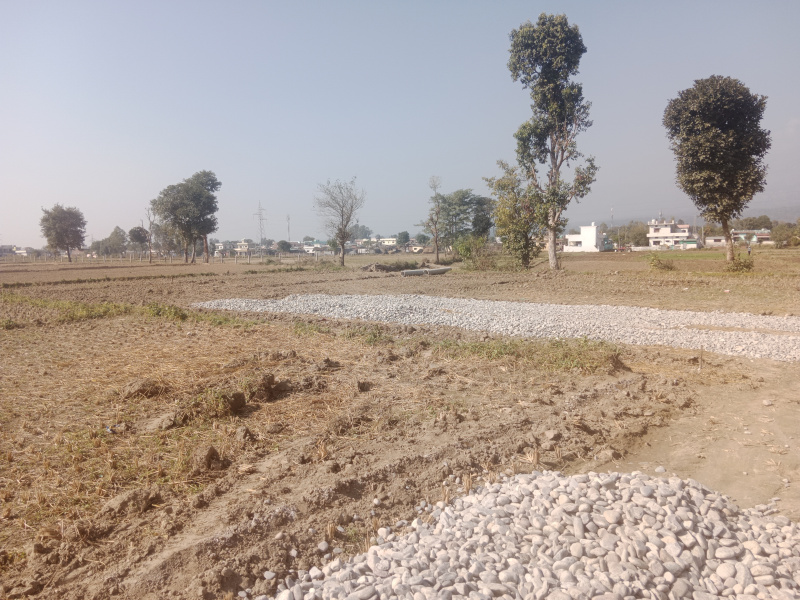 299 Sq. Yards Residential Plot for Sale in Badowala, Dehradun