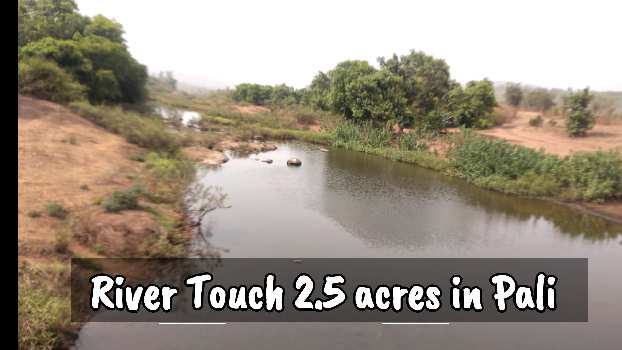 ID 147/111 The 100 guntha river touch plot in Pali