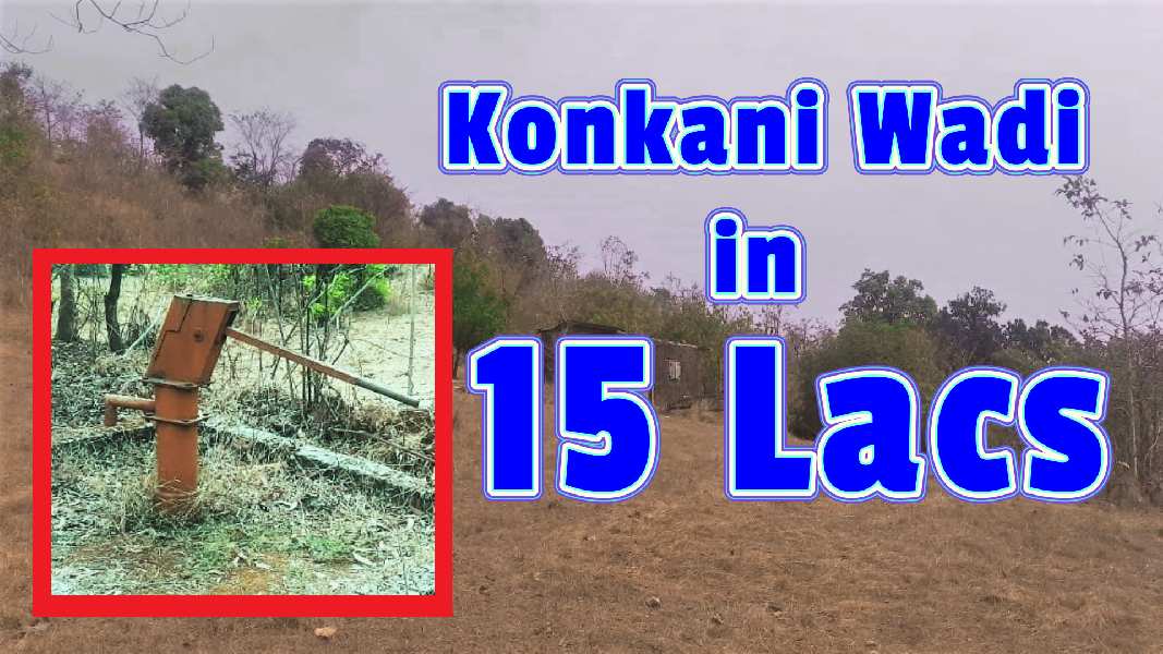 K011/2 The 1 acre Konkani Wadi in just 15 lacs