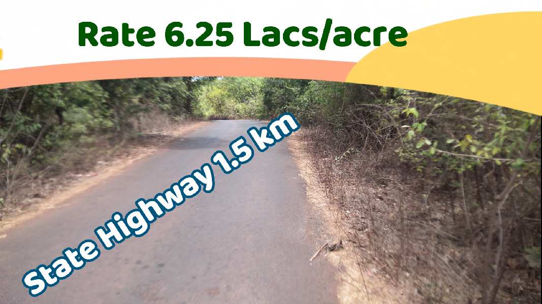 ID 147/119 The Plot at just 6.25 lacs per acre from state Highway