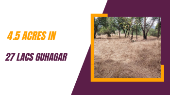 ID 113/243 The 4.5 acres in 27 lacs Guhagar