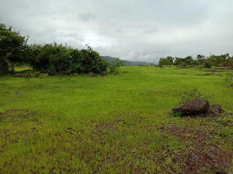 ID 113/7 Single lot 100 acres for sale in ratnagiri District