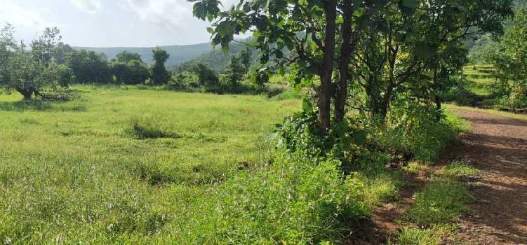 Property for sale in Chiplun, Ratnagiri