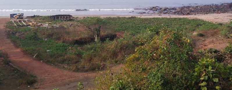 ID 113/50 Sea View property 80 acres single lot