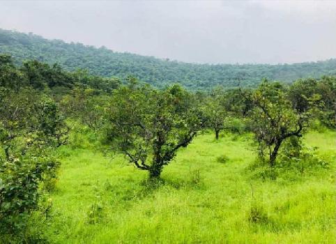 17 Acre Agricultural/Farm Land for Sale in Mandangad, Ratnagiri