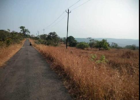 ID 147/1 Farm Land 50 Acres In Taluka Tala