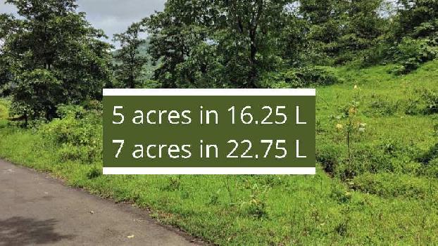 ID 145/15 The agriculture land for sale in Mandangad