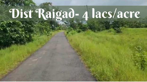 ID 111/28 The 15 to 50 acres land for sale in Taluka Tala