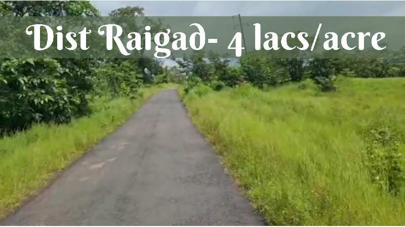 ID 111/28 The 15 to 50 acres land for sale in Taluka Tala