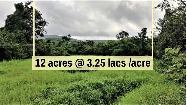 ID 145/16 The 12 acres agriculture land in mandangad