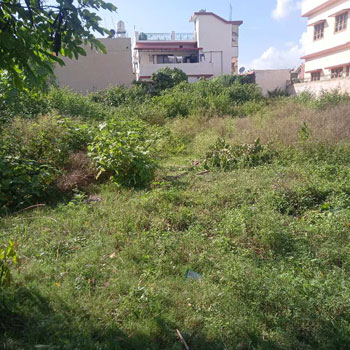 244 Sq. Yards Residential Plot for Sale in Saharanpur Road, Dehradun