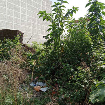 900 Sq. Yards Agricultural/Farm Land for Sale in Mussoorie, Dehradun
