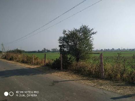 43 Acre Agricultural/Farm Land for Sale in Naktara, Raisen