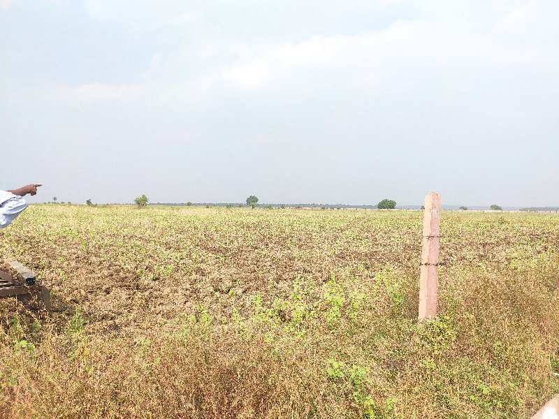 5 Acre Agricultural/Farm Land for Sale in Phanda, Bhopal (6 Acre)
