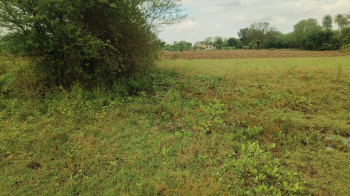 7 Acre land bilkisganj ratibad road bhopal