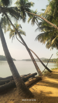 Agricultural/Farm Land for Sale in Gokarna, Uttara Kannada (16 Guntha)