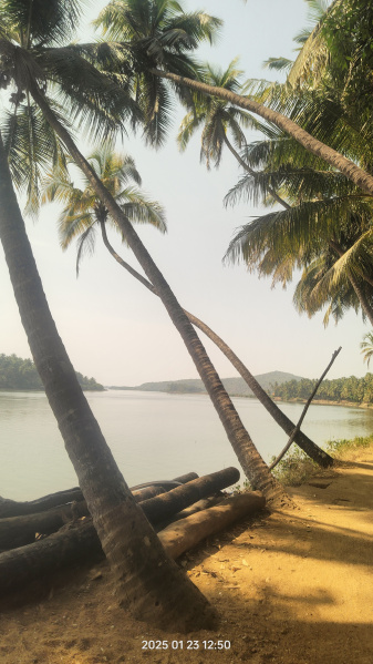 Agricultural/Farm Land For Sale In Gokarna, Uttara Kannada (16 Guntha)