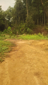 30*40 NA Layout Site  for sale near Sirsi