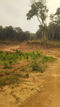 Property for sale in Kankumbi, Belagavi
