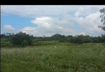 20 gunta agricultural land for sale