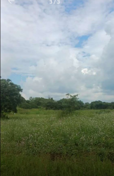 Property for sale in Nanawadi, Belgaum