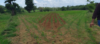 1.5 acre agricultural land for sale near mudgod. Towards Yellapur