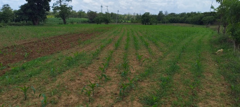 Property for sale in Mundgod, Uttara Kannada