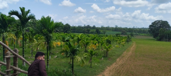 Property for sale in Mundgod, Uttara Kannada