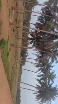 Beach Facing Property for sale Near  Bhatkal