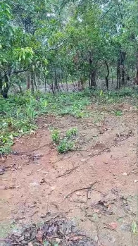 Property for sale in Ankola, Uttara Kannada