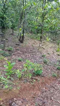 Property for sale in Ankola, Uttara Kannada