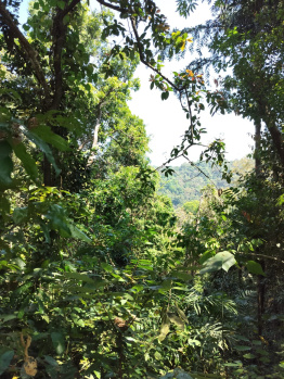 Property for sale in Gokarna, Uttara Kannada
