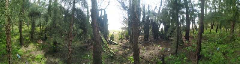 Property for sale in Kumta, Uttara Kannada