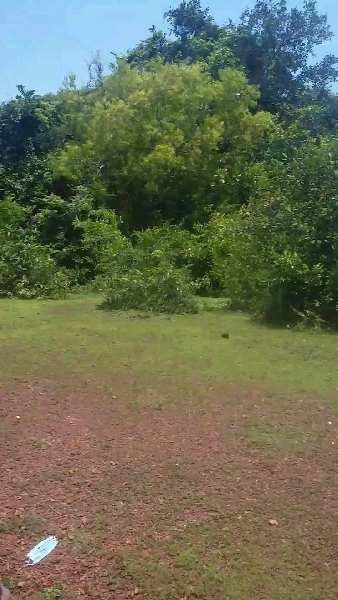 Property for sale in Gokarna, Uttara Kannada
