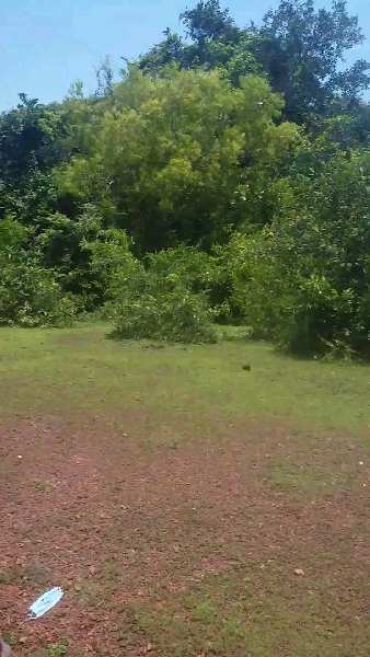 30 Guntha Agricultural/Farm Land For Sale In Gokarna, Uttara Kannada