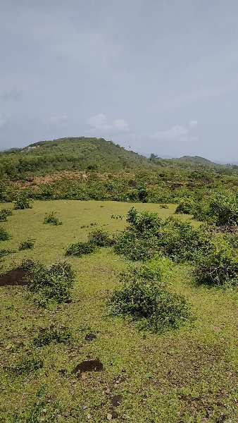 3 Acre Agricultural/Farm Land For Sale In Gokarna, Uttara Kannada