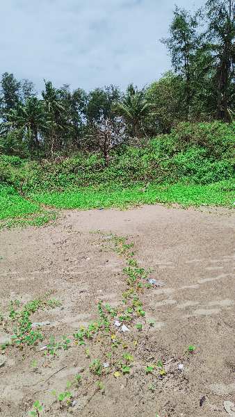 5 Acre Agricultural/Farm Land For Sale In Ankola, Uttara Kannada
