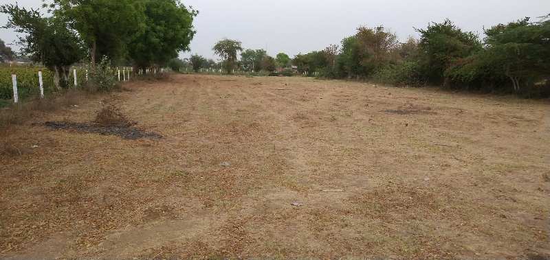 Agricultural/Farm Land For Sale In Borsad, Anand (4 Bigha)