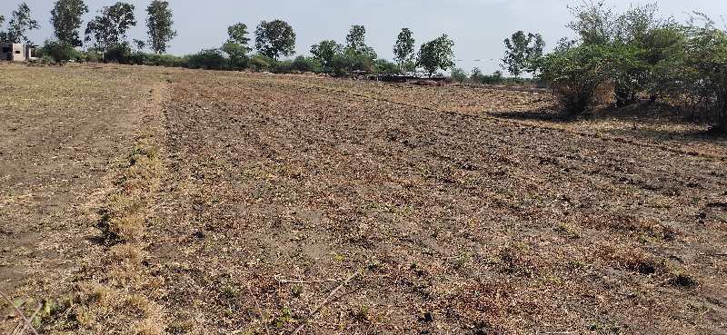 Agricultural/Farm Land for Sale in Borsad, Anand (4 Bigha)