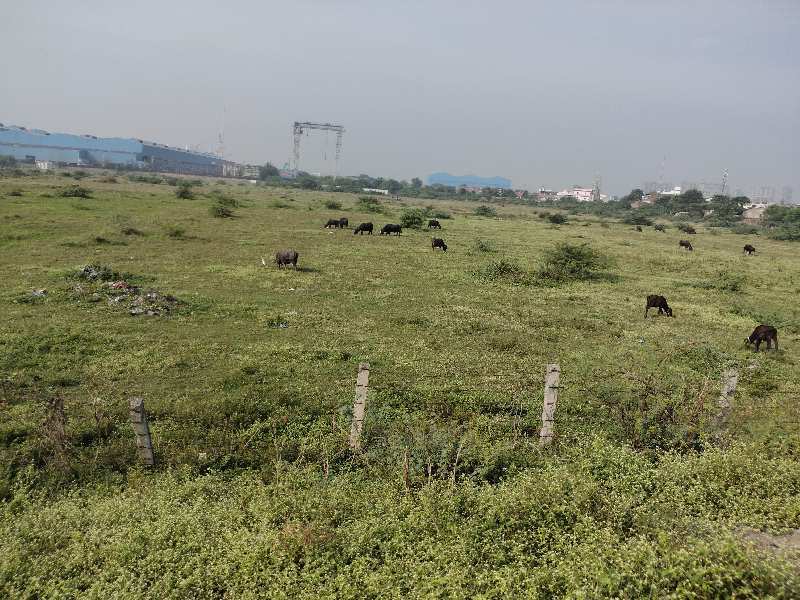 45 Bigha Agricultural/Farm Land for Sale in Alhadpura, Vadodara