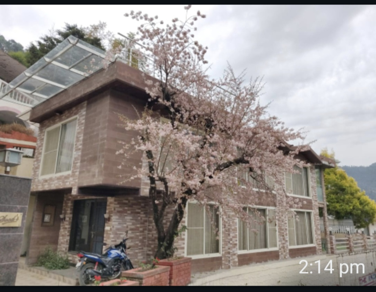 Good Indepandent 4 Bhk Villa Cottage At Kempty Road Good Lacation Singal Ownership Property
