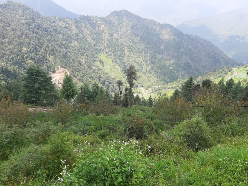 Around 1500 Sq Yard  With Old Houseplot For Sale At Mussoorie Dehradun Road Near Barlowganj Bhatta