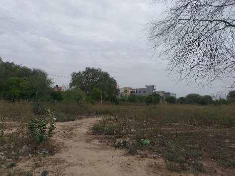 502 Sq. Yards Residential Plot for Sale in Sector 65, Faridabad
