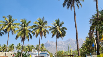 Property for sale in Palakkad Road, Coimbatore