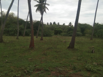Property for sale in Natham Road, Madurai