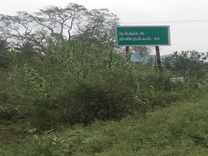 100000 Sq.ft. Agricultural/Farm Land for Sale in Natham Road, Madurai