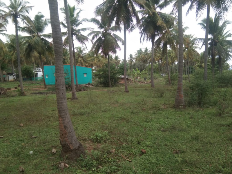 100000 Sq.ft. Agricultural/Farm Land for Sale in Natham Road, Madurai