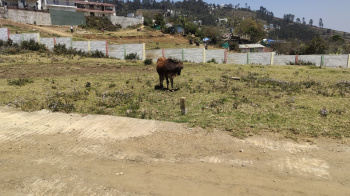Property for sale in Vilpatti, Kodaikanal