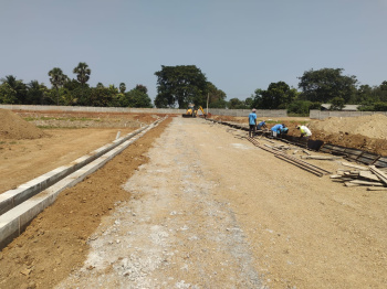 Residential Plot for Sale in SIDCO Industrial Estate, Madurai (1500 Sq.ft.)